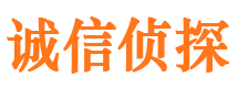 定日婚姻外遇取证